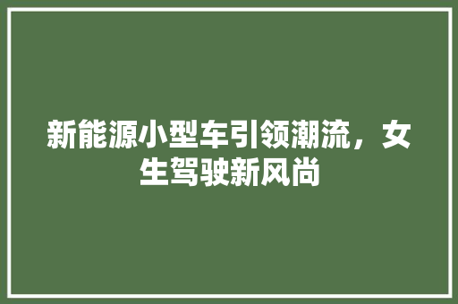 新能源小型车引领潮流，女生驾驶新风尚  第1张