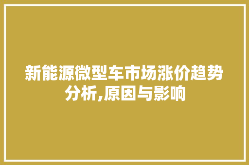 新能源微型车市场涨价趋势分析,原因与影响  第1张