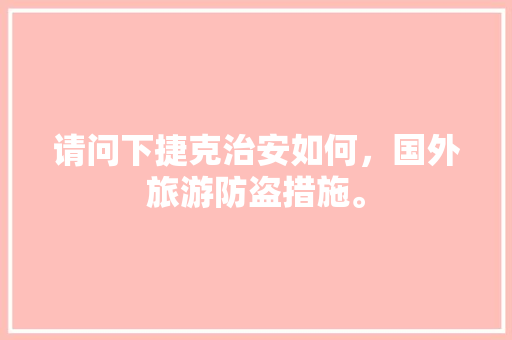 请问下捷克治安如何，国外旅游防盗措施。