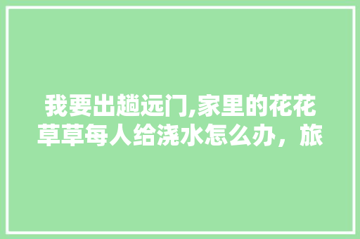 我要出趟远门,家里的花花草草每人给浇水怎么办，旅游家里的花怎么处理好。