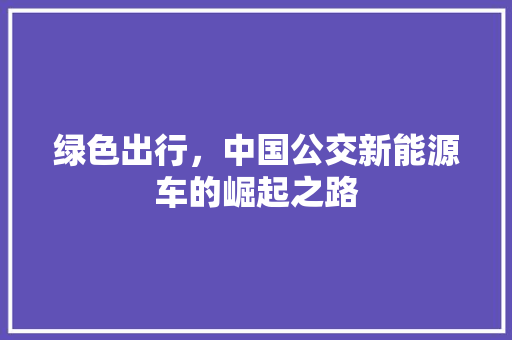 绿色出行，中国公交新能源车的崛起之路  第1张