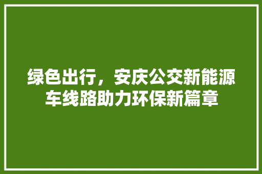 绿色出行，安庆公交新能源车线路助力环保新篇章  第1张
