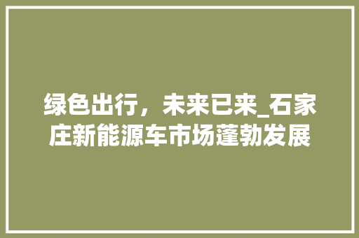 绿色出行，未来已来_石家庄新能源车市场蓬勃发展  第1张