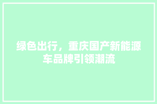 绿色出行，重庆国产新能源车品牌引领潮流  第1张