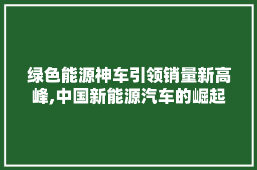 绿色能源神车引领销量新高峰,中国新能源汽车的崛起之路  第1张