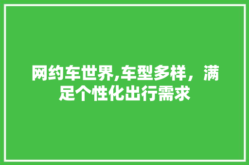网约车世界,车型多样，满足个性化出行需求