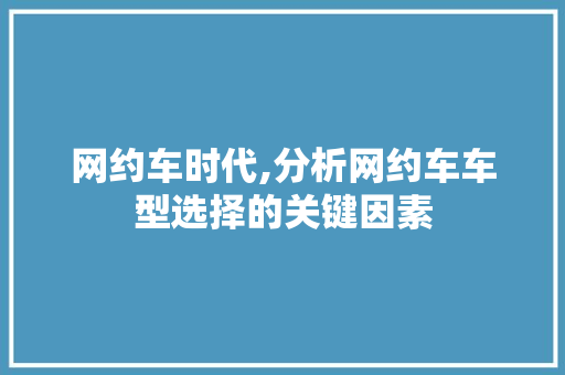 网约车时代,分析网约车车型选择的关键因素