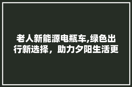 老人新能源电瓶车,绿色出行新选择，助力夕阳生活更美好