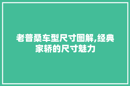 老普桑车型尺寸图解,经典家轿的尺寸魅力  第1张