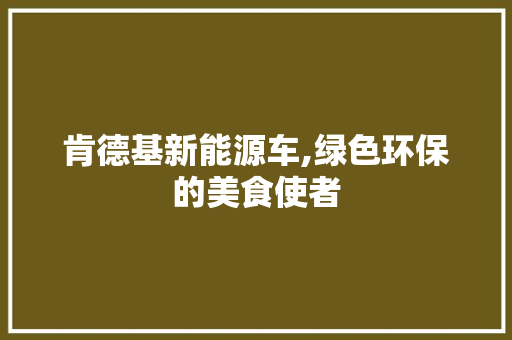 肯德基新能源车,绿色环保的美食使者  第1张