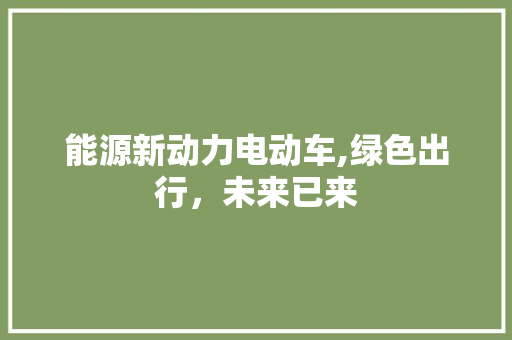 能源新动力电动车,绿色出行，未来已来  第1张