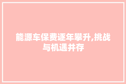 能源车保费逐年攀升,挑战与机遇并存  第1张