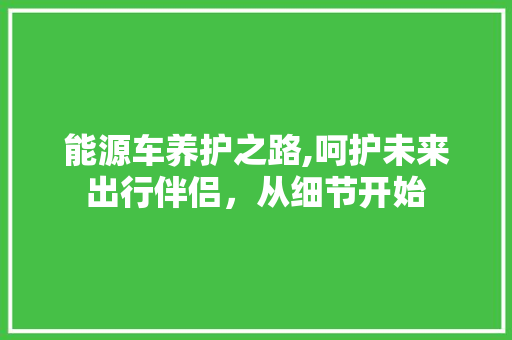 能源车养护之路,呵护未来出行伴侣，从细节开始