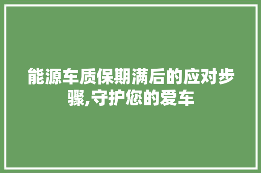 能源车质保期满后的应对步骤,守护您的爱车