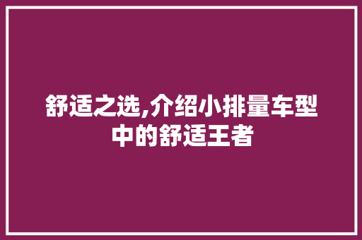 舒适之选,介绍小排量车型中的舒适王者