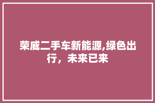 荣威二手车新能源,绿色出行，未来已来  第1张