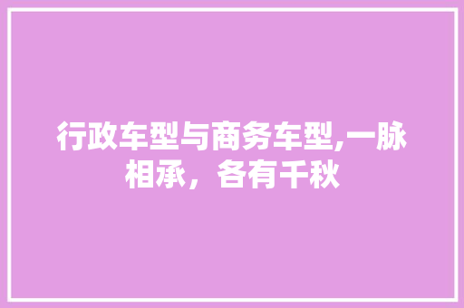 行政车型与商务车型,一脉相承，各有千秋  第1张