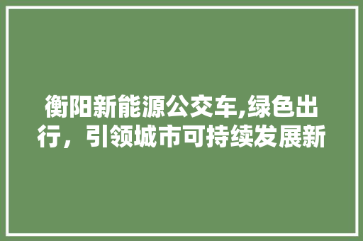 衡阳新能源公交车,绿色出行，引领城市可持续发展新潮流  第1张