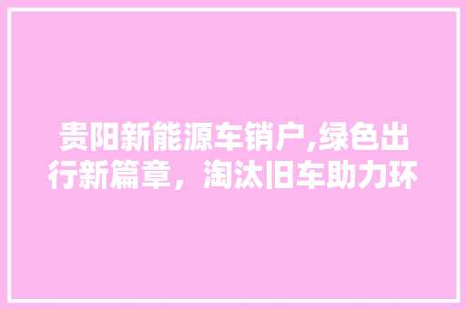 贵阳新能源车销户,绿色出行新篇章，淘汰旧车助力环保