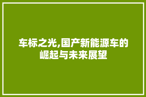 车标之光,国产新能源车的崛起与未来展望  第1张