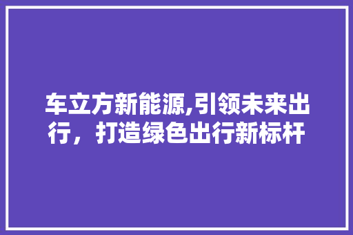 车立方新能源,引领未来出行，打造绿色出行新标杆  第1张