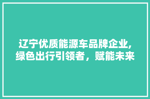 辽宁优质能源车品牌企业,绿色出行引领者，赋能未来交通新格局  第1张