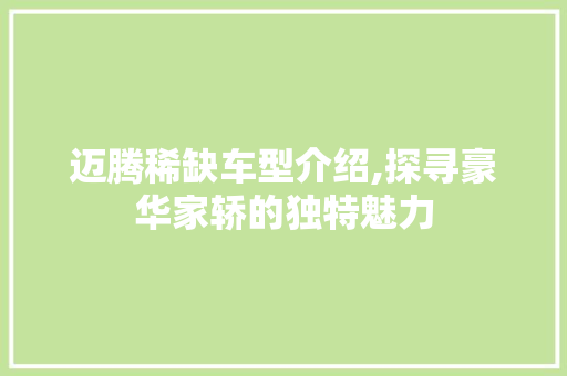 迈腾稀缺车型介绍,探寻豪华家轿的独特魅力