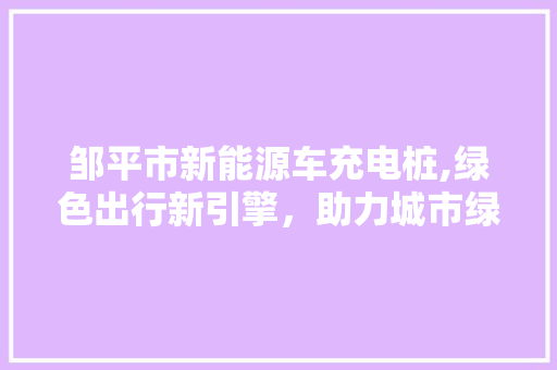 邹平市新能源车充电桩,绿色出行新引擎，助力城市绿色发展