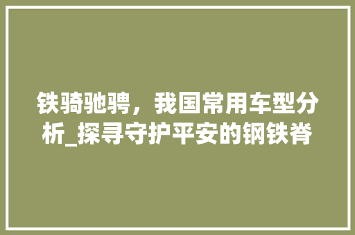 铁骑驰骋，我国常用车型分析_探寻守护平安的钢铁脊梁