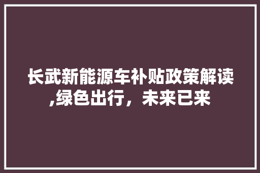 长武新能源车补贴政策解读,绿色出行，未来已来  第1张
