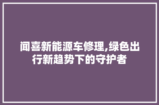 闻喜新能源车修理,绿色出行新趋势下的守护者