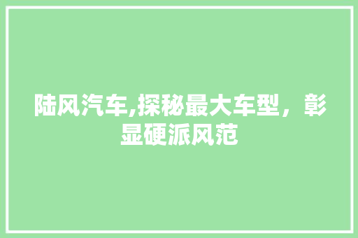 陆风汽车,探秘最大车型，彰显硬派风范