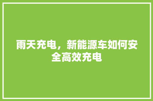 雨天充电，新能源车如何安全高效充电