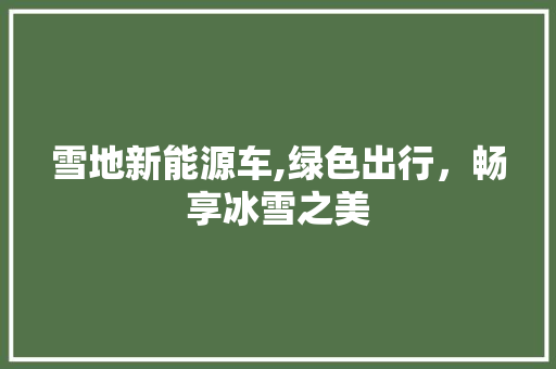 雪地新能源车,绿色出行，畅享冰雪之美