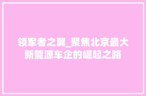 领军者之翼_聚焦北京最大新能源车企的崛起之路