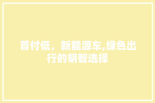 首付低，新能源车,绿色出行的明智选择  第1张