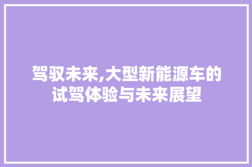 驾驭未来,大型新能源车的试驾体验与未来展望  第1张