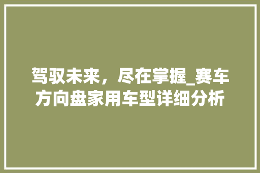 驾驭未来，尽在掌握_赛车方向盘家用车型详细分析