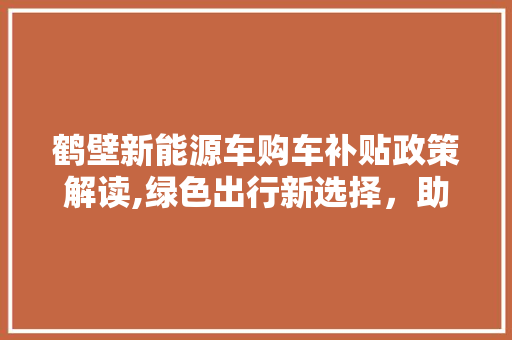 鹤壁新能源车购车补贴政策解读,绿色出行新选择，助力城市绿色发展