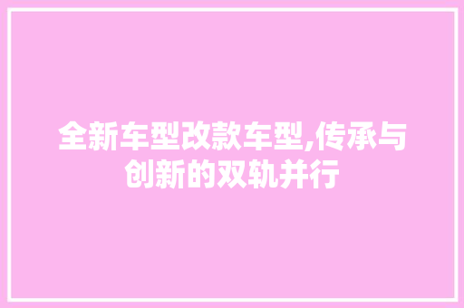 全新车型改款车型,传承与创新的双轨并行