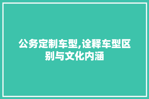 公务定制车型,诠释车型区别与文化内涵  第1张