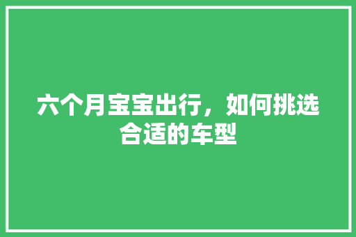 六个月宝宝出行，如何挑选合适的车型