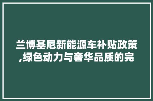 兰博基尼新能源车补贴政策,绿色动力与奢华品质的完美融合
