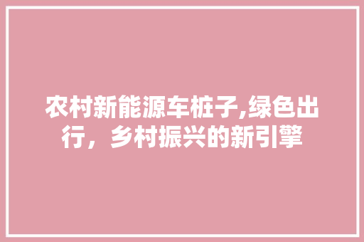 农村新能源车桩子,绿色出行，乡村振兴的新引擎  第1张