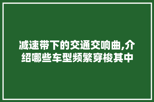 减速带下的交通交响曲,介绍哪些车型频繁穿梭其中