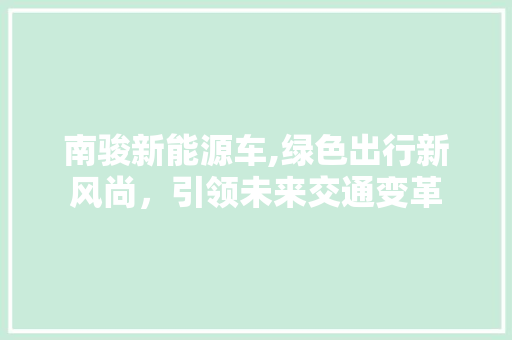 南骏新能源车,绿色出行新风尚，引领未来交通变革  第1张