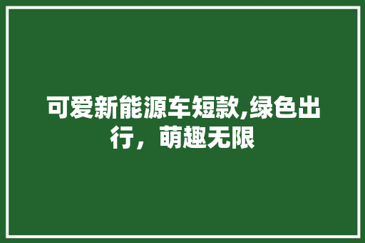 可爱新能源车短款,绿色出行，萌趣无限