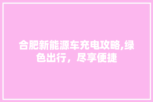 合肥新能源车充电攻略,绿色出行，尽享便捷  第1张