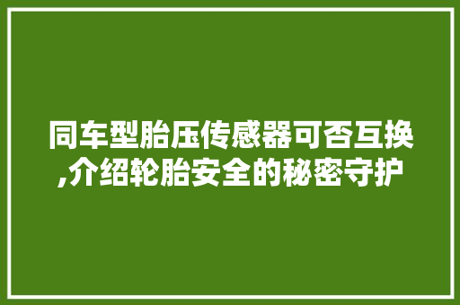 同车型胎压传感器可否互换,介绍轮胎安全的秘密守护者