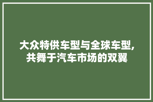 大众特供车型与全球车型,共舞于汽车市场的双翼  第1张
